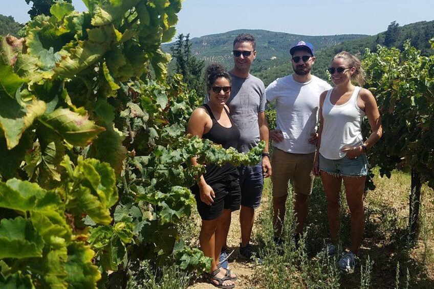 Un grupo de personas de pie en un viñedo con hileras de vides. 4