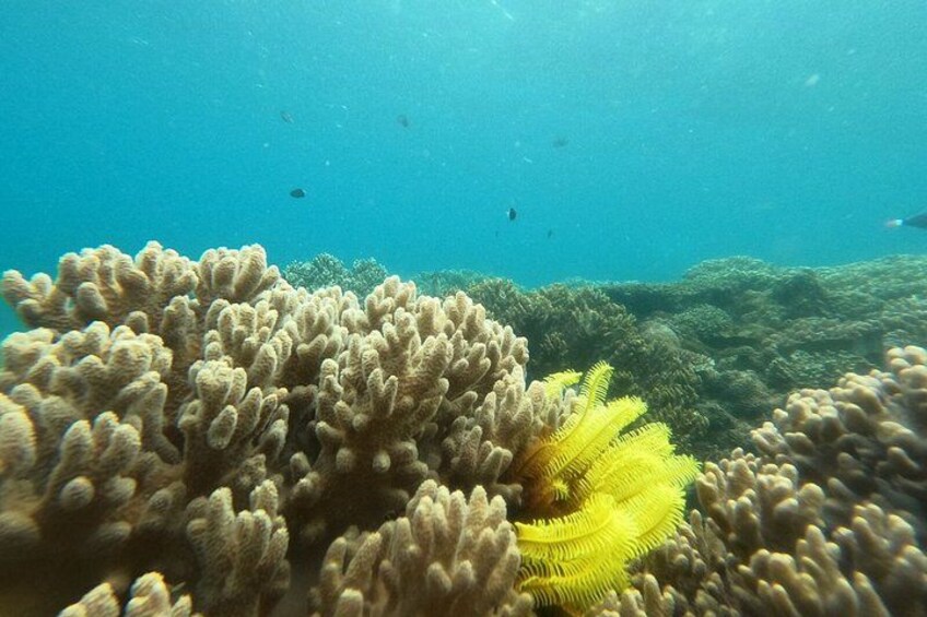 Bali to Gili Islands Fast Boat And Private Hotel Transfer 5