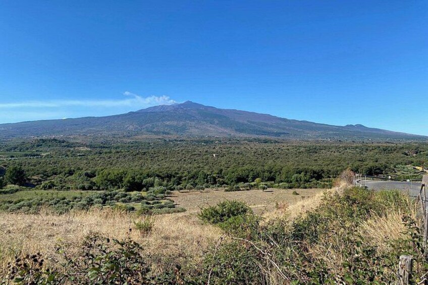 A mountain, a road, and a dry grassy field. 5