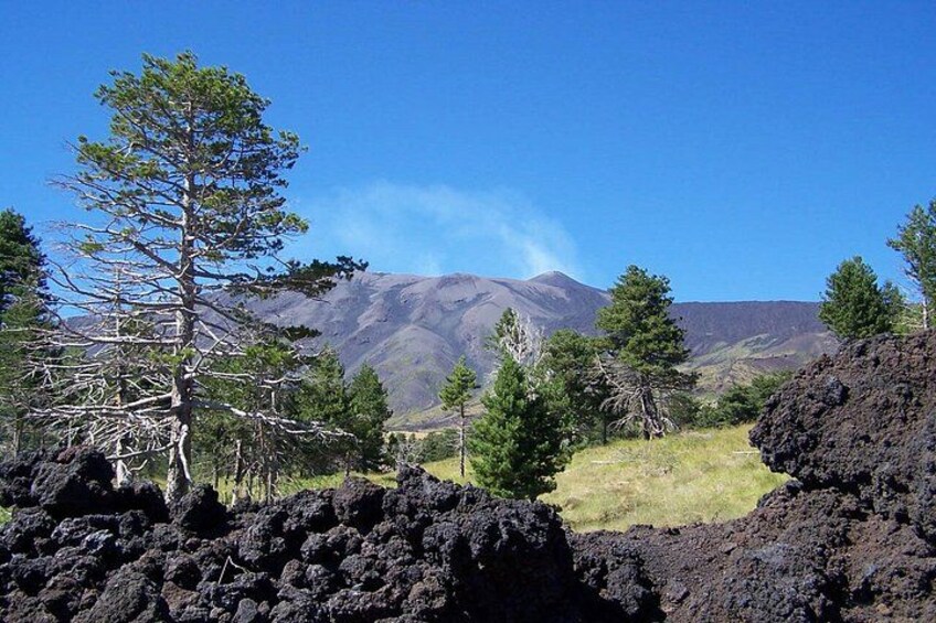 A volcanic landscape with trees and mountains in the background. 3