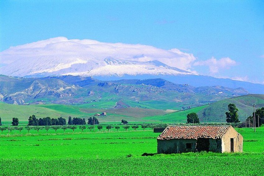 A green field with a small building, a mountain with snow, and a clear sky. 4
