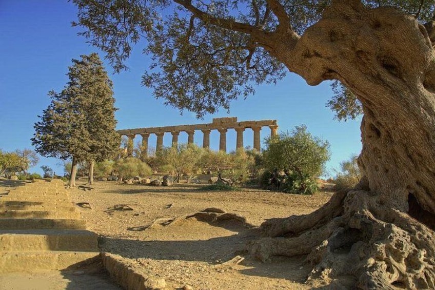 Valley of the Temples in Agrigento 4