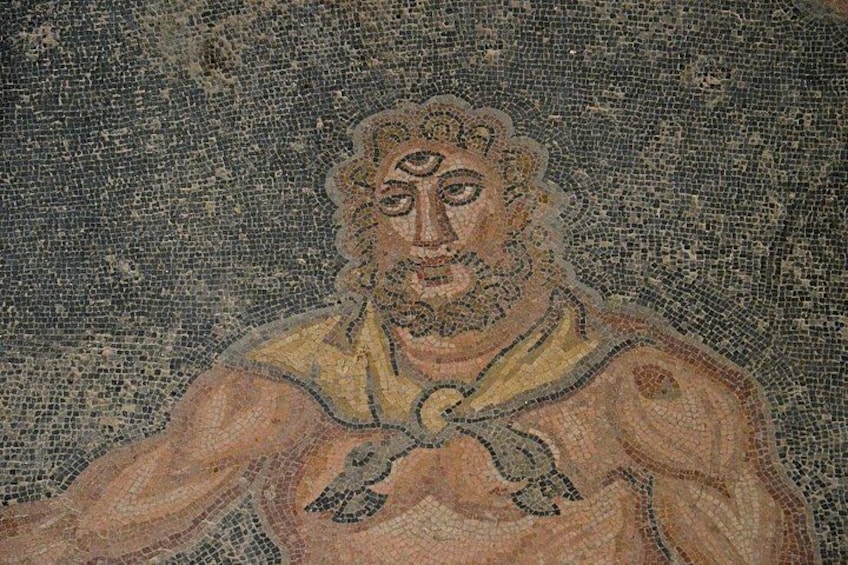 A detail of the mosaic at the Roman Villa 5