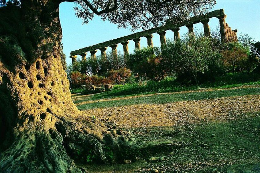 Valley of the Temples 4