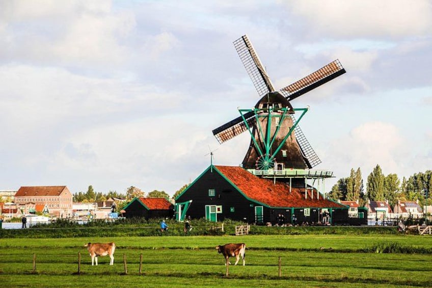 Day Trip to Zaanse Schans, Edam, Volendam and Marken from Amsterdam 3
