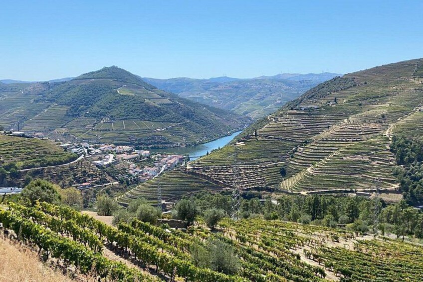 Douro Landscapes 4