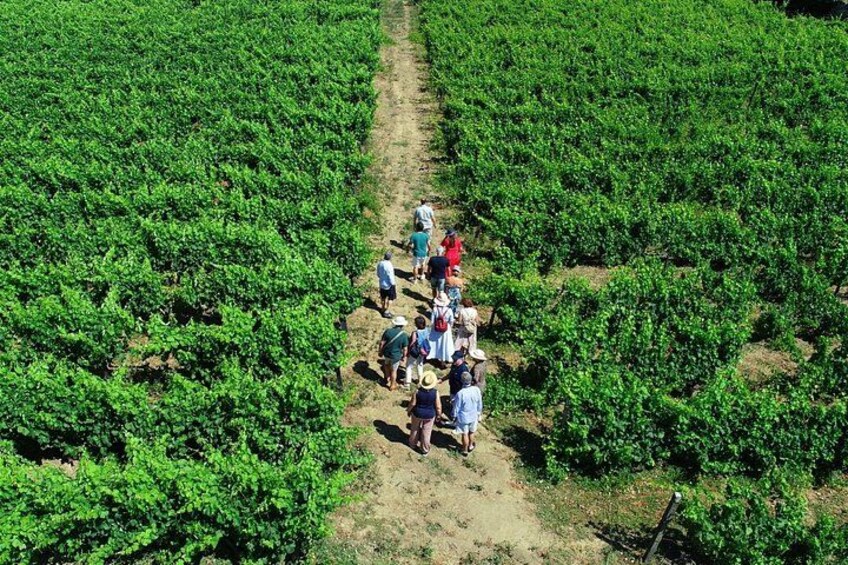 Douro Valley Wineries 4