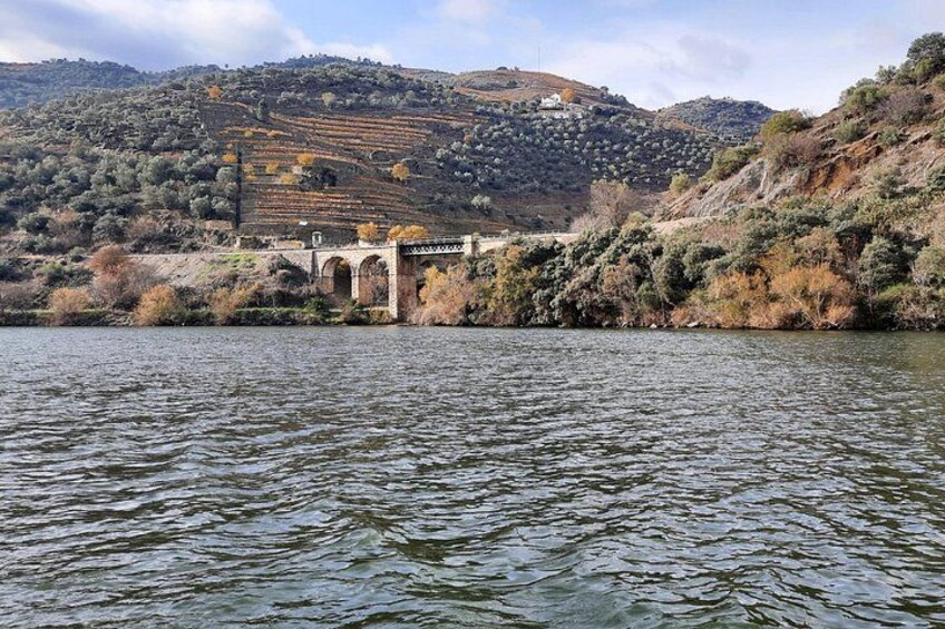 Views from Douro River 3