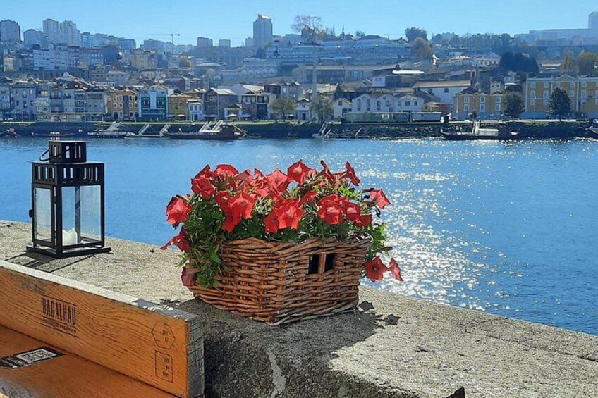A waterfront with a wooden bench, a wicker basket of red flowers, and a black lantern. 5