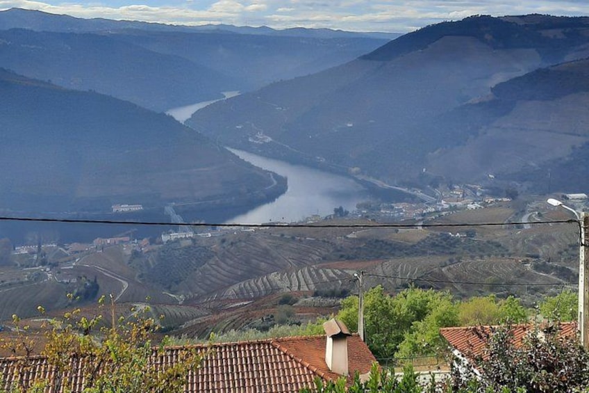Private Douro Valley Food and Wine Tour From Porto 5