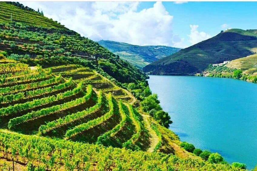 Douro Valley Wineries 1