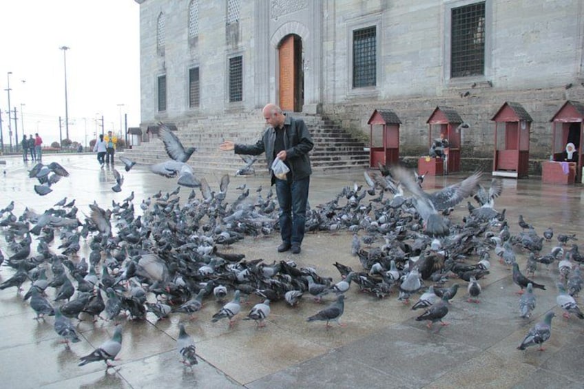 A man feeding pigeons in a courtyard with stone buildings and pigeon feeding stations. 5