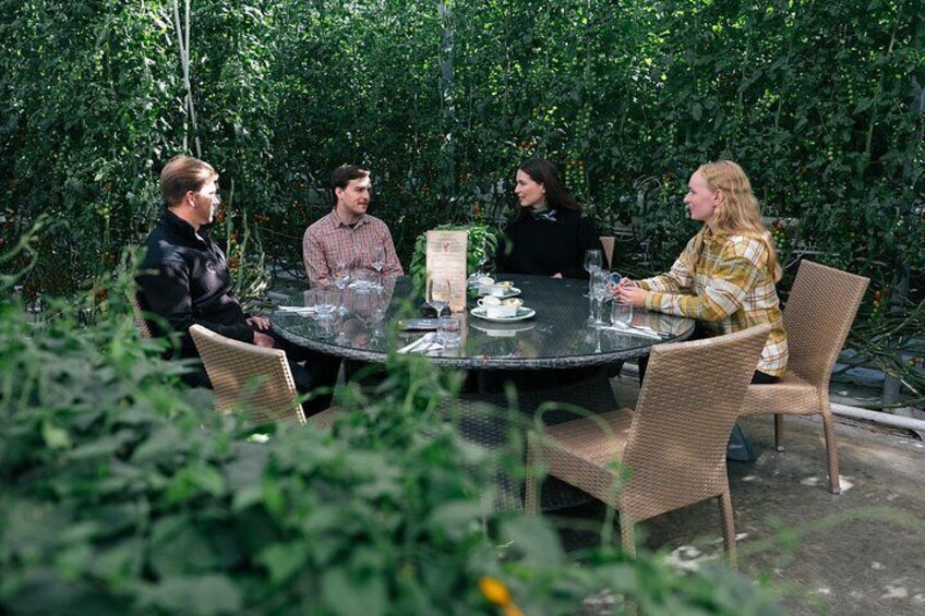 Lunch in Friðheimar greenhouse 2