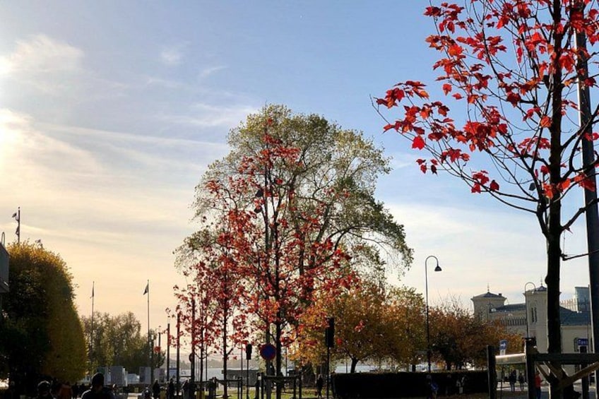 Oslo Discovery Tour 4