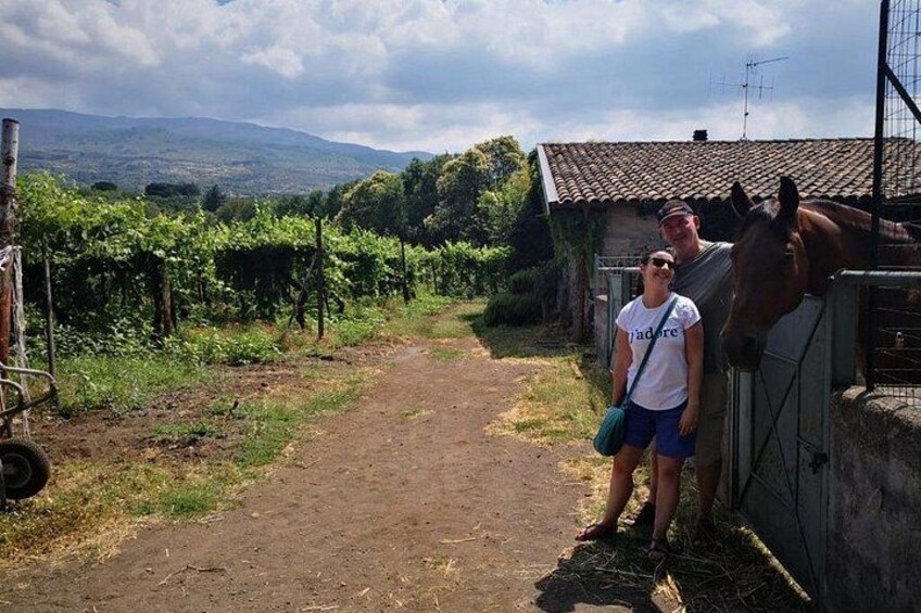 Etna Countryside Food & Wine Lovers Tour (Small Group or Private) 2