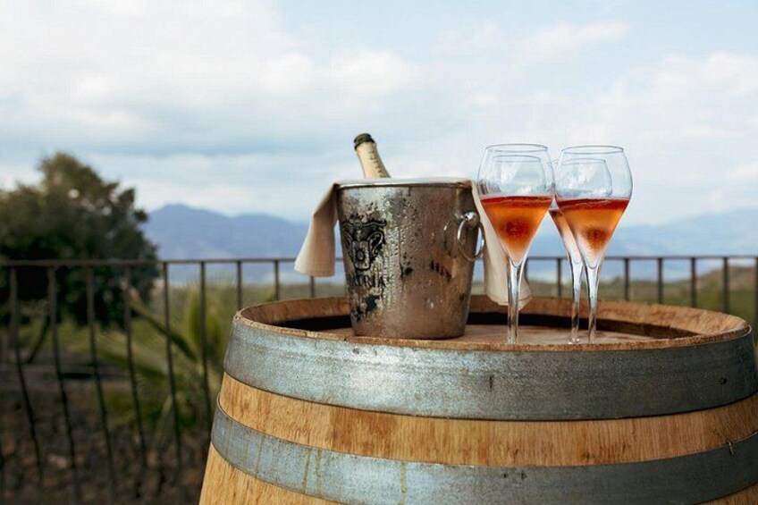 Etna Countryside Food & Wine Lovers Tour (Small Group or Private) 1