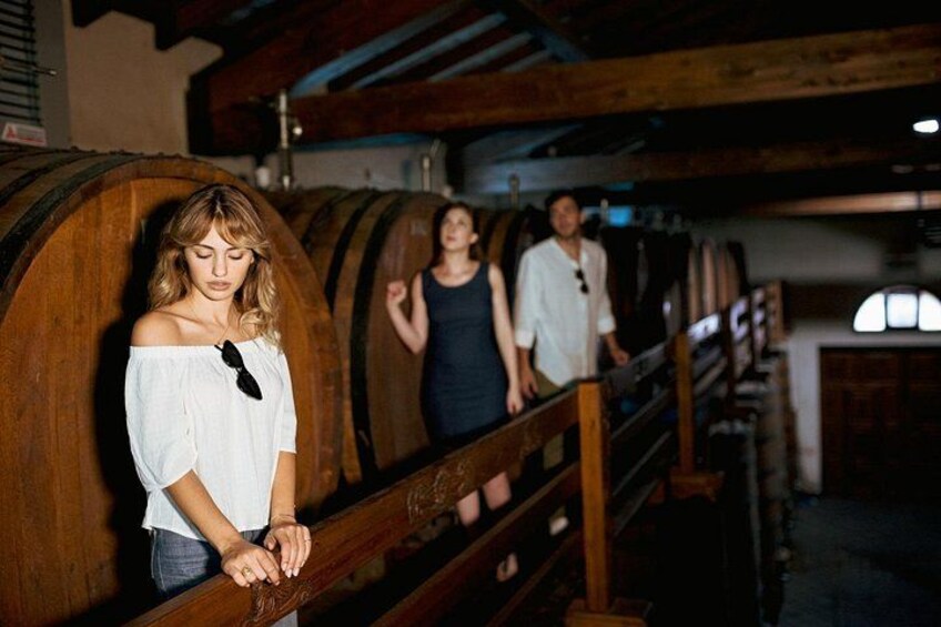 Etna Countryside Food & Wine Lovers Tour (Small Group or Private) 4