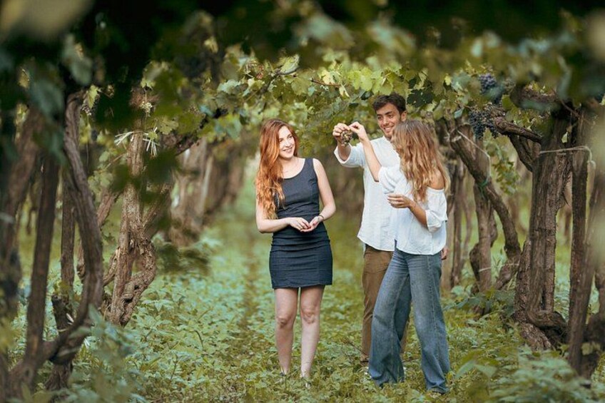 Etna Countryside Food & Wine Lovers Tour (Small Group or Private) 5