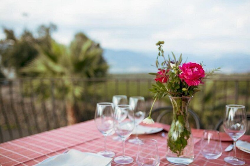 Etna Countryside Food & Wine Lovers Tour (Small Group or Private) 2