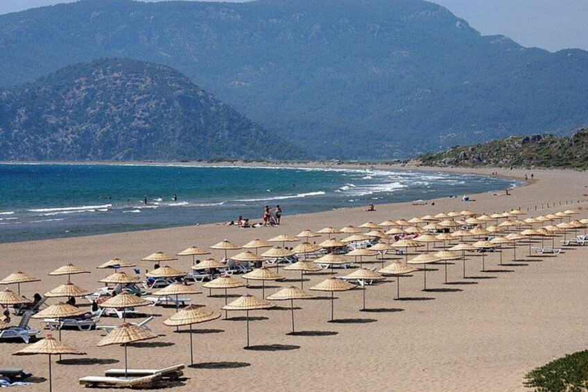 Turtle beach, Iztuzu Beach Dalyan 2