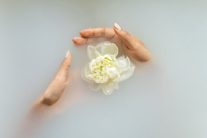 A pair of hands holding a white flower. 4