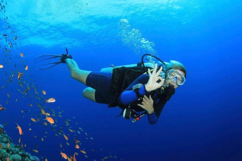 A diver underwater with a scuba tank, surrounded by fish. 1