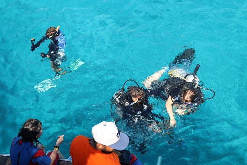 A group of people snorkeling in a clear blue pool. 2