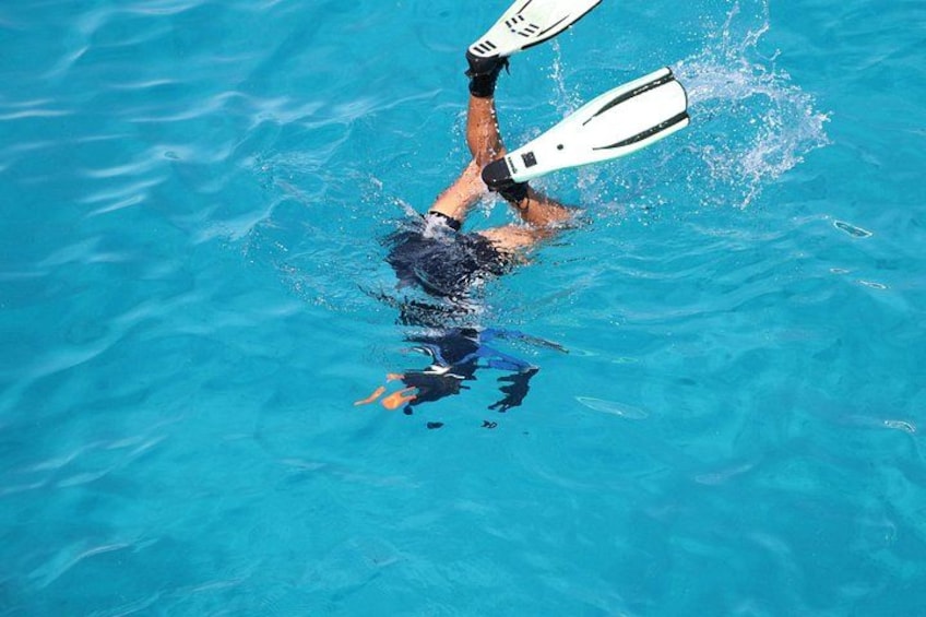 A person swimming with fins in a pool. 3