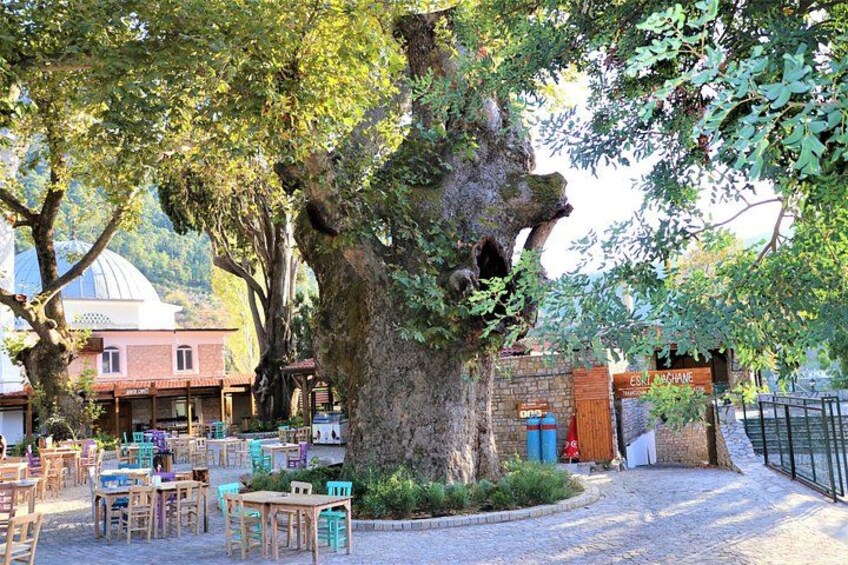 Bayir, Turgut and Orhaniye Village Day Trip from Marmaris 2