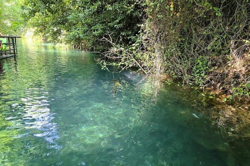 Saklikent and Tlos Ancient City Day Trip From Fethiye by Arbek Travel 4