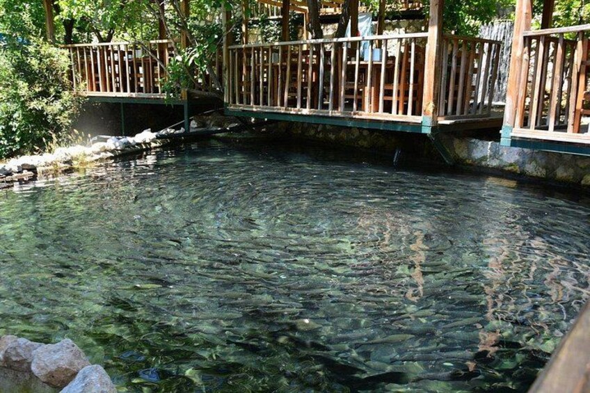 Saklikent and Tlos Ancient City Day Trip From Fethiye by Arbek Travel 3