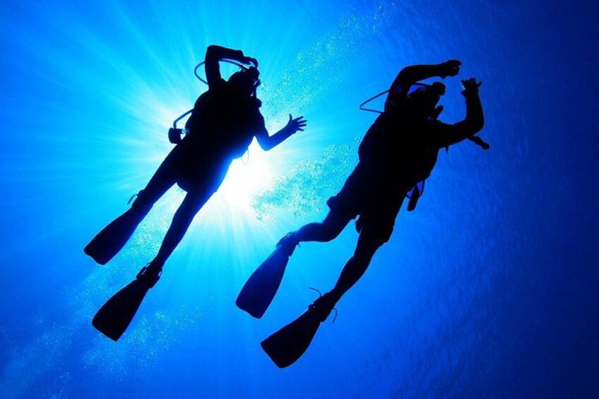 Scuba Diving from Bodrum 5