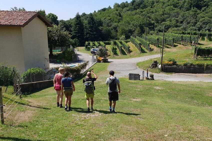 Lake Como Rebels: Adventure day in Spina Verde Regional Park 3