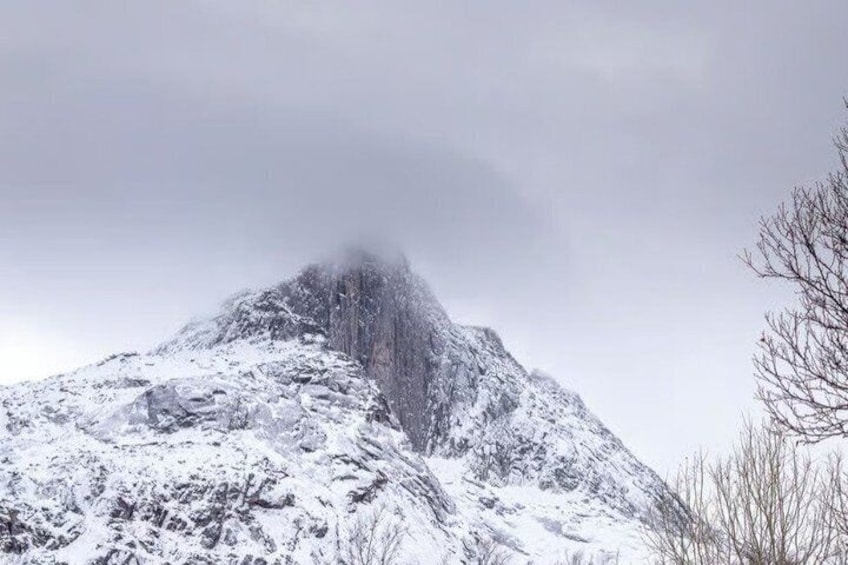 A snow-covered mountain peak with a forested area to the right. 4