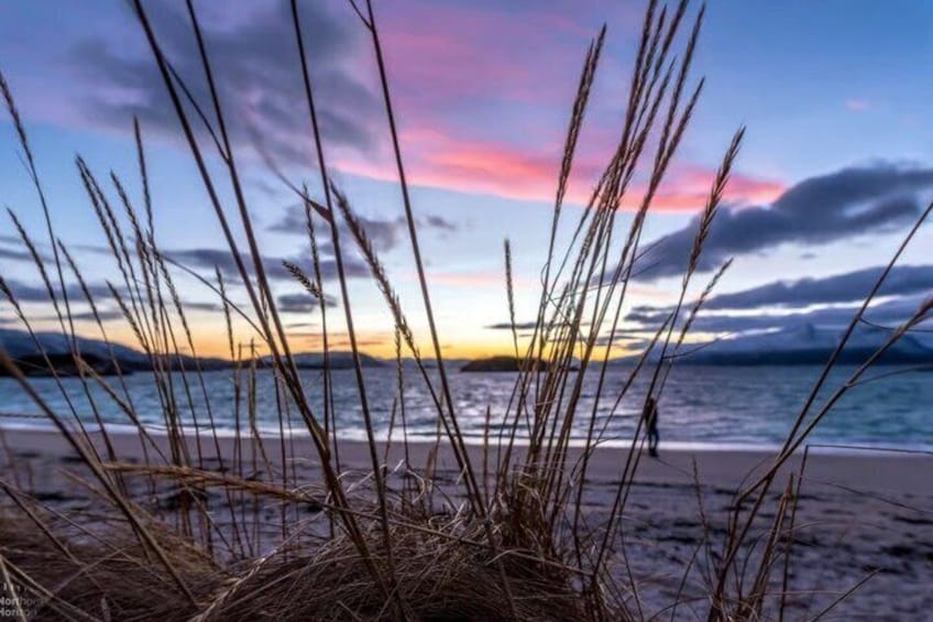 A beach with grass in the foreground and a sunset in the background. 2