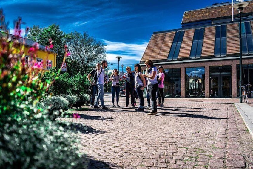 Oslo City Private Walking Tour 1