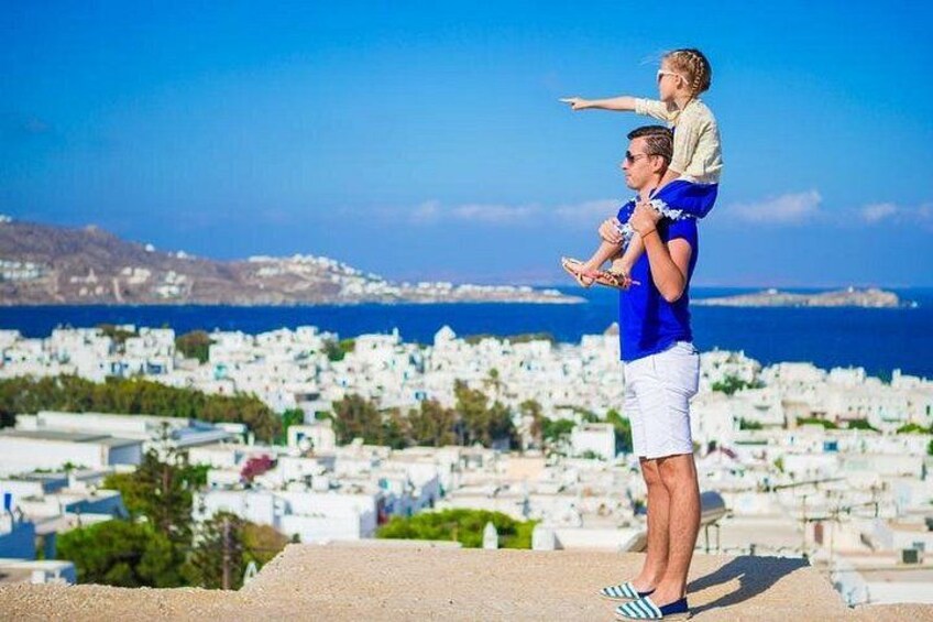 Mykonos Town and Island Half-Day Tour 3