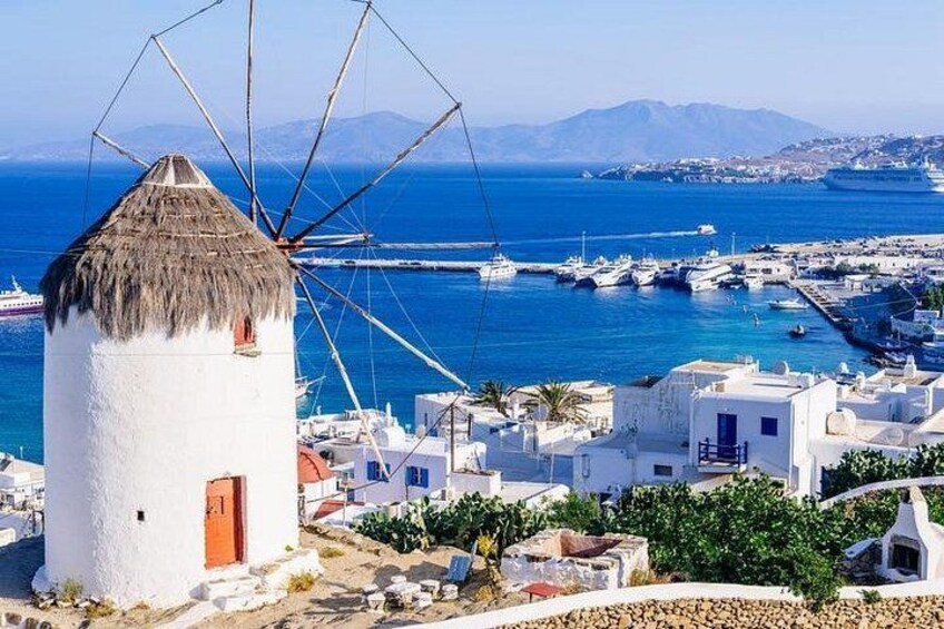 Mykonos Town and Island Half-Day Tour 1