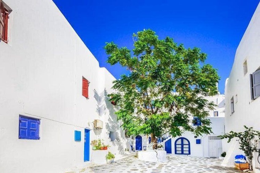 Mykonos Town and Island Half-Day Tour 2