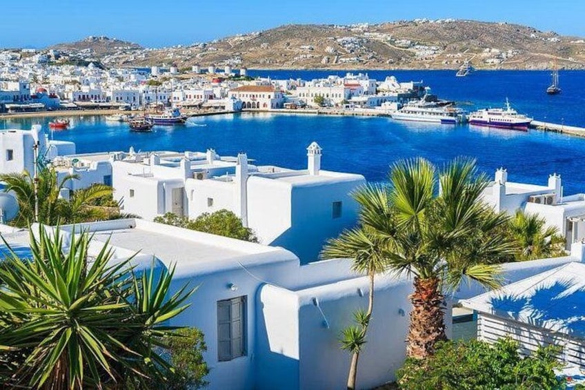 Mykonos Town and Island Half-Day Tour 2