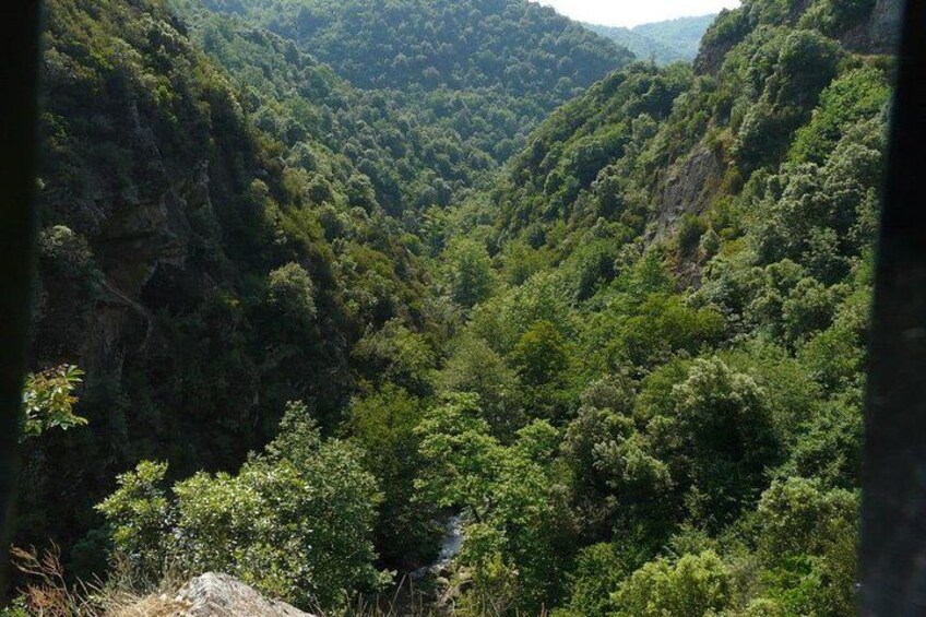 A lush valley with dense greenery and steep cliffs. 4
