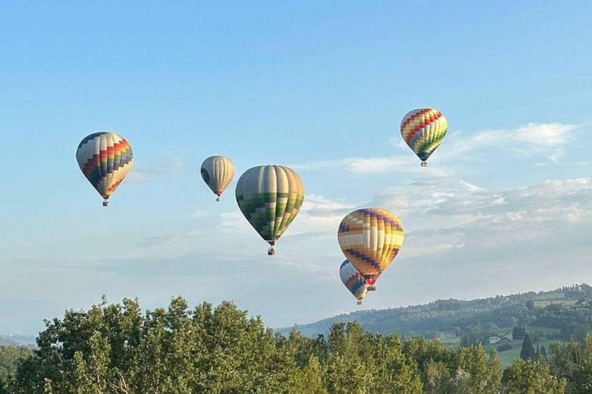 Multiple hot air balloons in the sky with a landscape of trees and hills below. 1