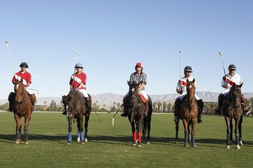 Quattro persone a cavallo giocano a polo su un campo erboso, con montagne sullo sfondo. 1