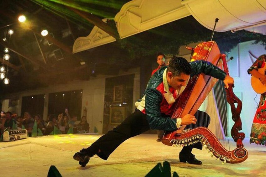 A person playing a large stringed instrument, likely a harp, in a performance setting with an audience. 1