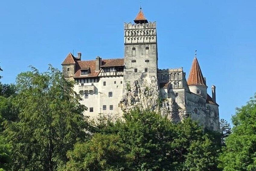 Un château historique, doté d’une tour imposante, entouré d’une végétation luxuriante. 2