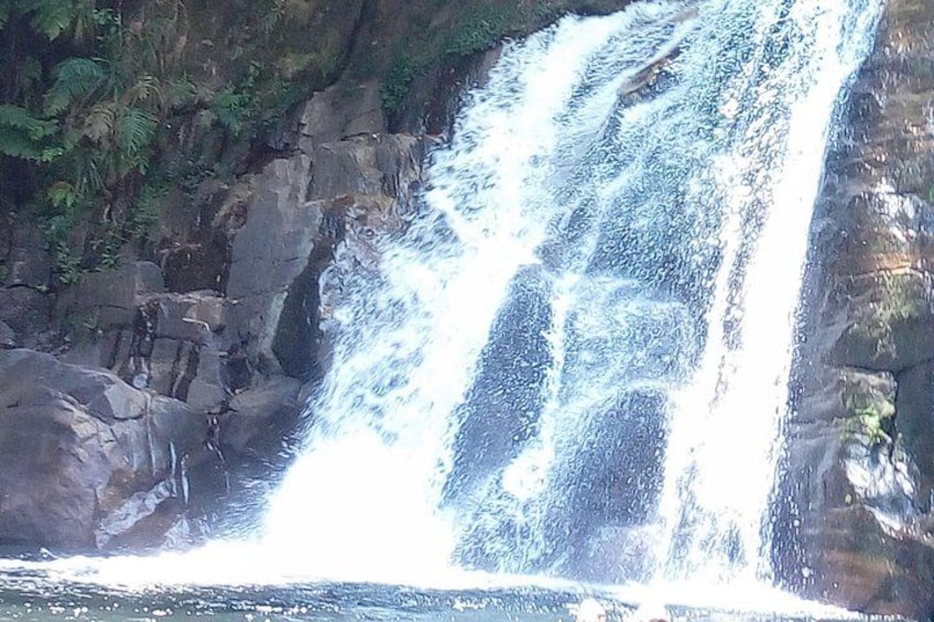 A waterfall cascading over rocks surrounded by greenery. 1