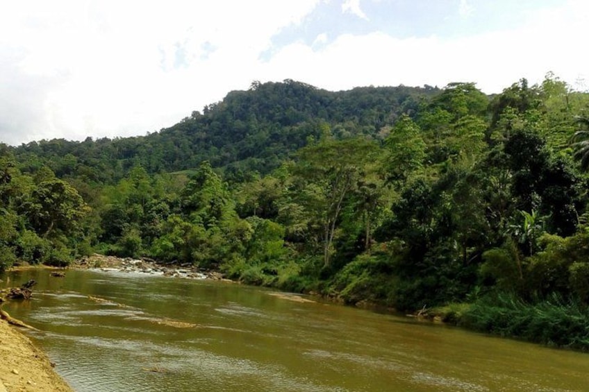 A river flowing through a densely forested area with hills in the background. 5