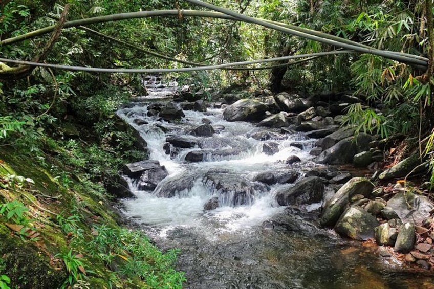 A stream flowing over rocks in a forested area with a bridge overhead. 2