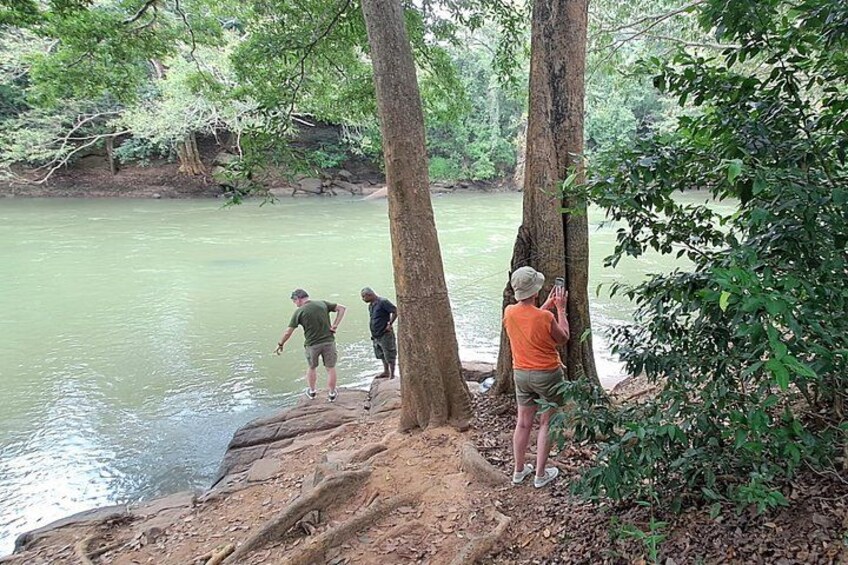 Udawalawe Forest 2