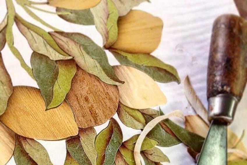 A collection of wood slices and green leaves, possibly for crafting or decoration, with a knife nearby. 3